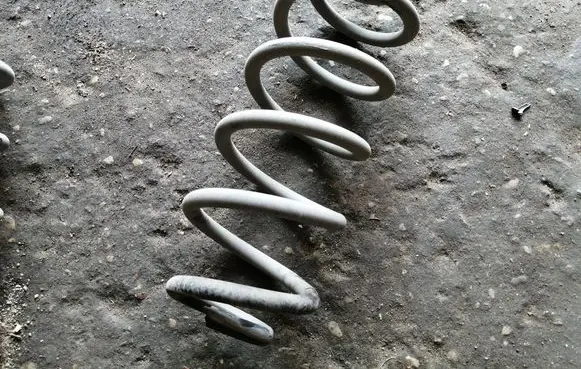 Rear coil spring