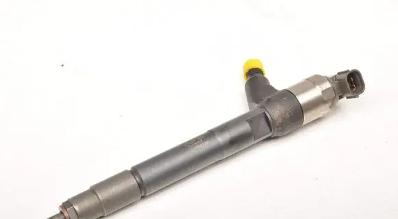 Opel Insignia A Fuel injector 55570012