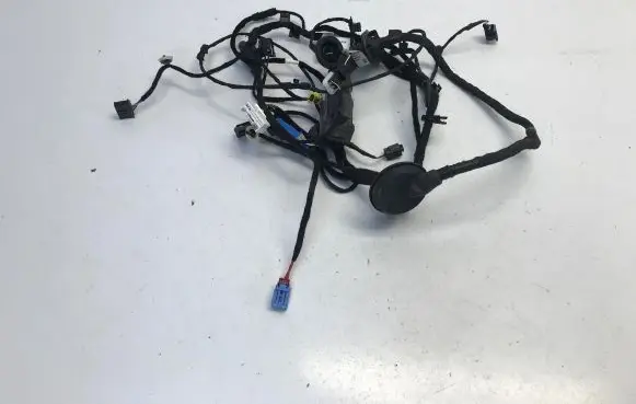 Skoda Enyaq iV Front door wiring loom/harness boot 5LB971121AA