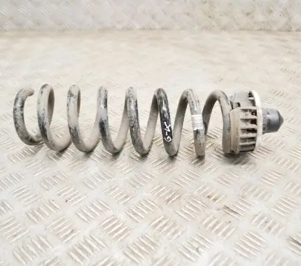 BMW 3 G20 G21 Rear coil spring 6875395