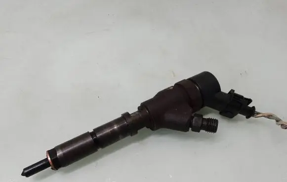 Peugeot 307 Fuel injector 9641742880