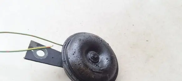 Horn signal