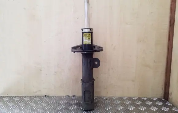 Opel Antara Front shock absorber/damper 20945998