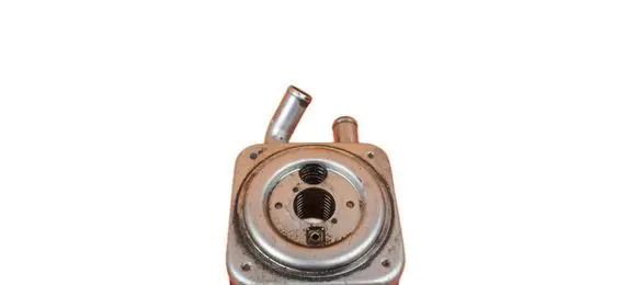 Hyundai Santa Fe Engine oil radiator D4EB