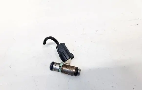 Volkswagen Golf V Fuel injector 036031AC