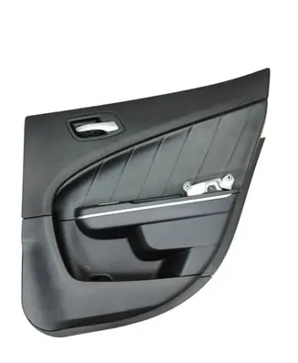 Dodge Charger Rear door card panel trim 5PE981X9AD L0200068DX9AE
