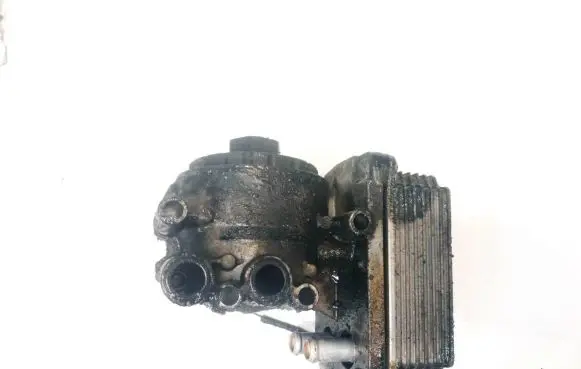Jaguar X-Type Engine oil radiator 6199626 6244334