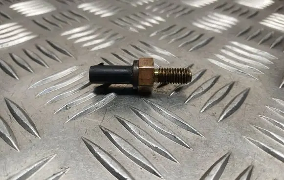 Opel Antara Coolant temperature sensor 25186894