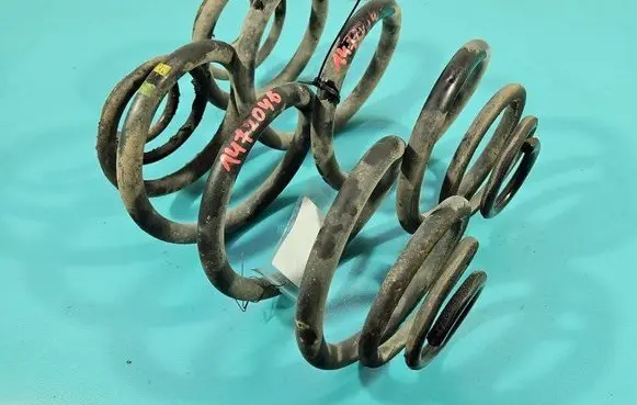 Rear coil spring