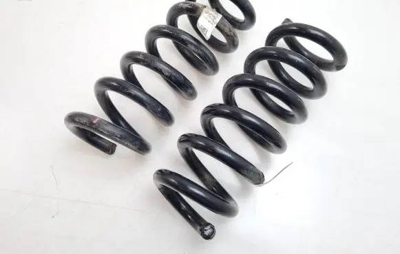 Ford Mustang Mach-E Rear coil spring LJ9C5560ANE
