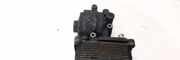 Ford Mondeo Mk III Engine oil radiator 1C1Q6B624AF