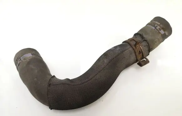 Citroen Berlingo Engine coolant pipe/hose