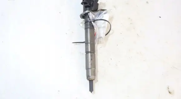 Volvo V60 Fuel injector 0445116046