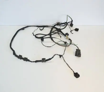 Audi A8 S8 D3 4E Parking sensor (PDC) wiring loom 4E0971095CT