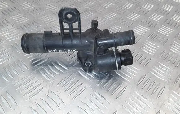 Thermostat/thermostat housing