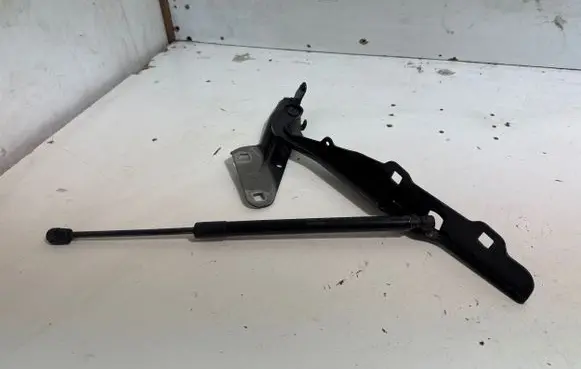 Ram 1500 Engine bonnet/hood hinges 307AB0701B2 B40 3T84