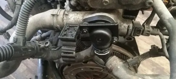 Ford Galaxy Engine coolant pipe/hose