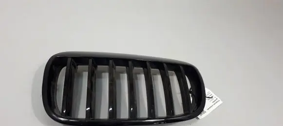 BMW X6 E71 Front bumper upper radiator grill