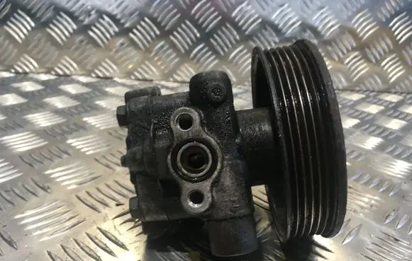 Hyundai Santa Fe Power steering pump