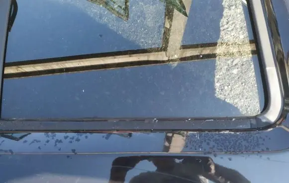 Nissan Pathfinder R51 Rear door glass trim molding