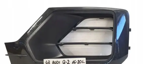 Audi Q2 - Front bumper lower grill 81A807681