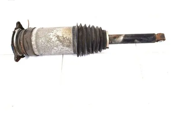 Tesla Model S Rear shock absorber with coil spring 1067466-25-C
