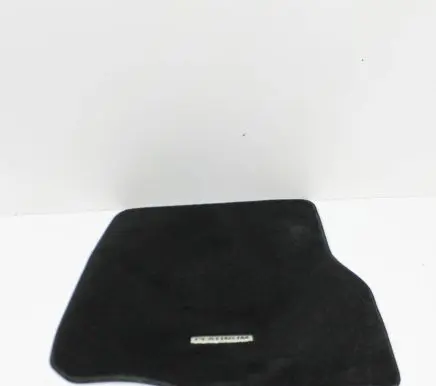Ford F150 Front floor mat 
