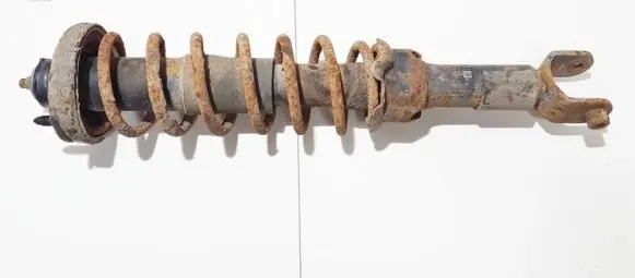 Honda Civic Rear coil spring