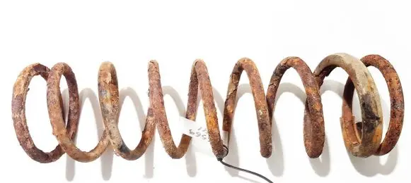 Ford Focus Rear coil spring