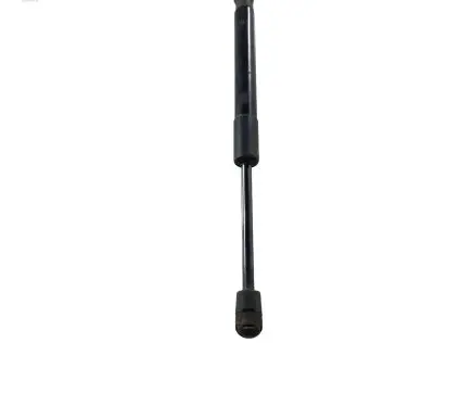 Ford Mustang V Tailgate/trunk strut/damper AR3363406A10AA