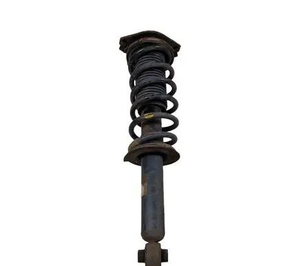 Subaru Outback (BS) Rear shock absorber with coil spring