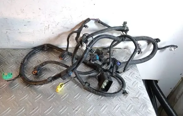 KIA EV6 Parking sensor (PDC) wiring loom 91880CV370