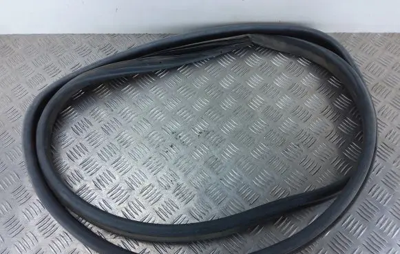Citroen Berlingo Rear door rubber seal (on body) 