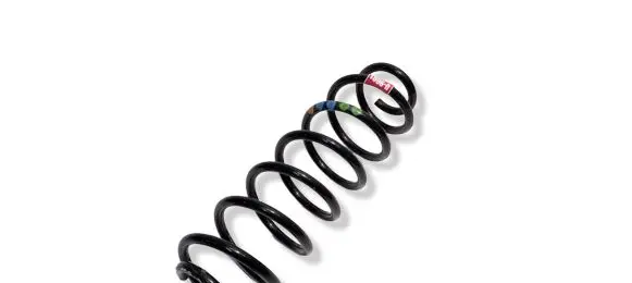 Skoda Fabia Mk3 (NJ) Rear coil spring