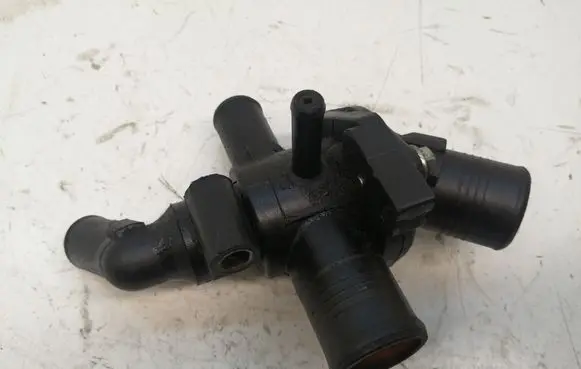 Thermostat/thermostat housing