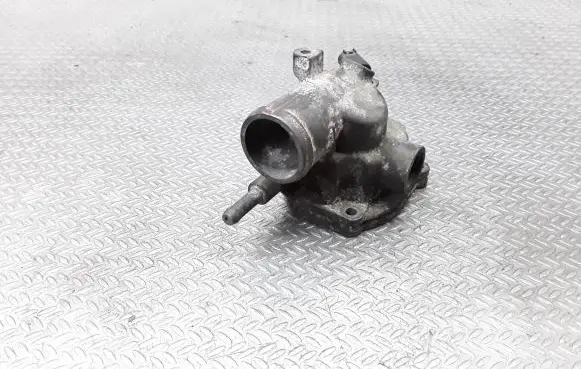 Thermostat/thermostat housing