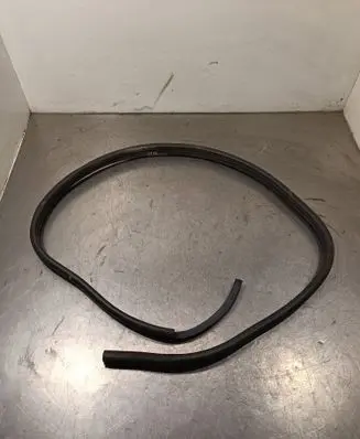 Renault Avantime Front door rubber seal 