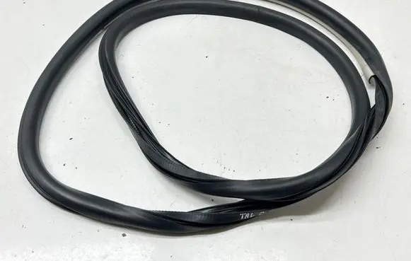 Renault Talisman Rear door rubber seal (on body) 
