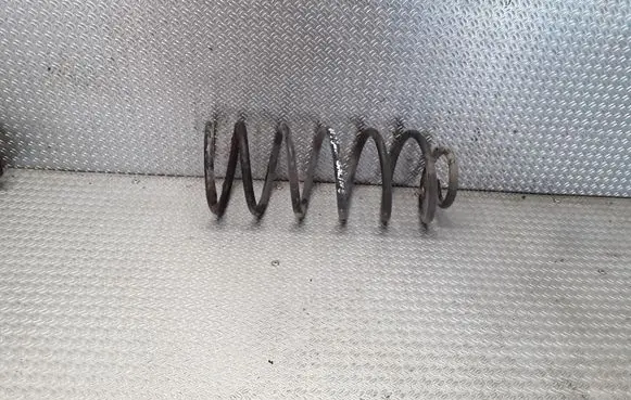 Hyundai Getz Rear coil spring