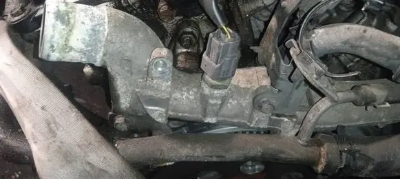 Nissan Murano Z50 Engine coolant pipe/hose