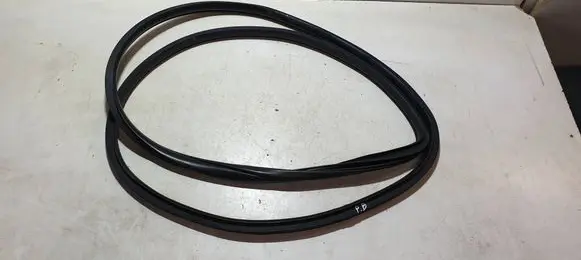 Dodge Durango III Front door rubber seal 