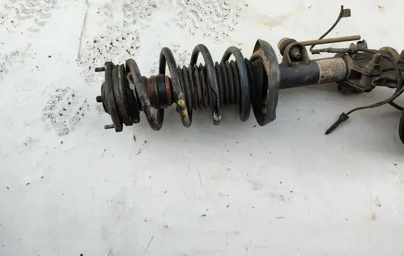 Fiat Doblo Front shock absorber with coil spring 