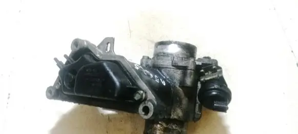 Renault Laguna II Throttle valve 2582400923