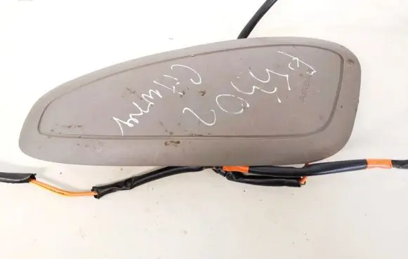 Front door airbag