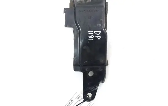 Engine bonnet/hood lock trim molding