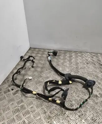 Renault Trafic III (X82) Front door wiring loom 241246337R