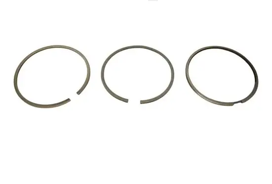 Mercedes-Benz E W124 Piston ring A0020303624