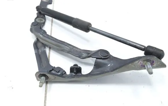 Tesla Model 3 Tailgate/trunk/boot hinge 155148100