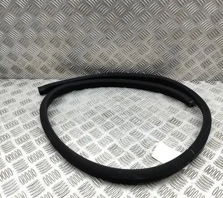 Mercedes-Benz CL C216 Rubber seal front coupe door A2166970151