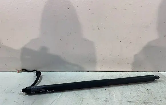 Tailgate/trunk strut/damper